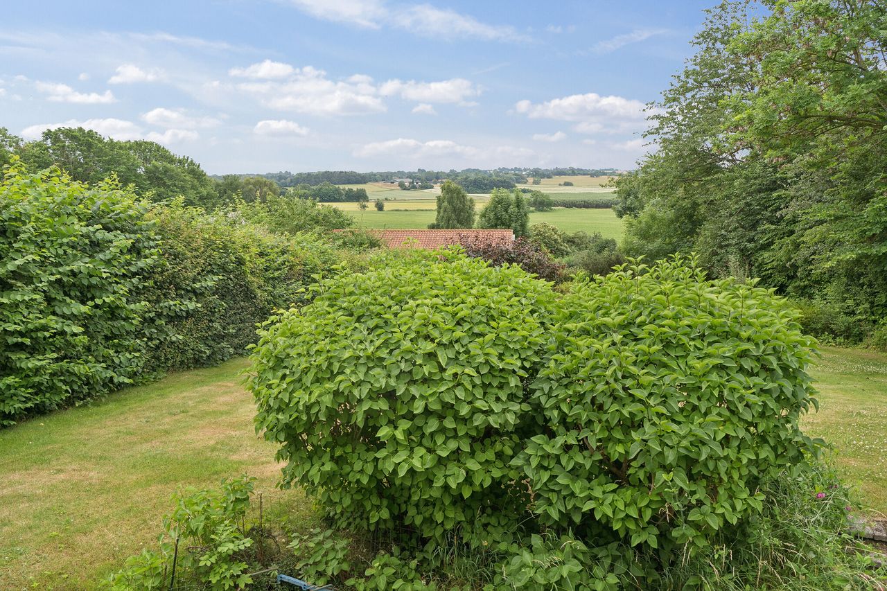 image 02