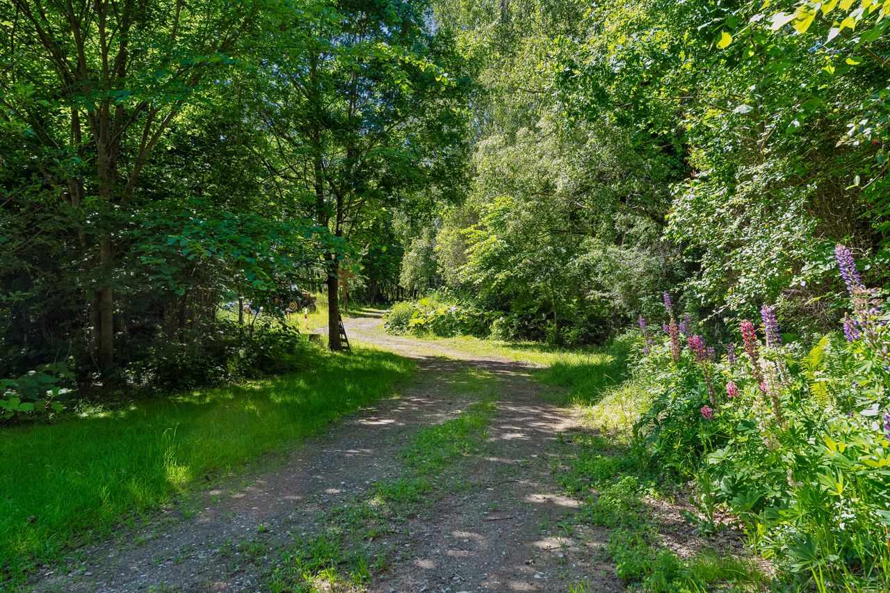 image 04
