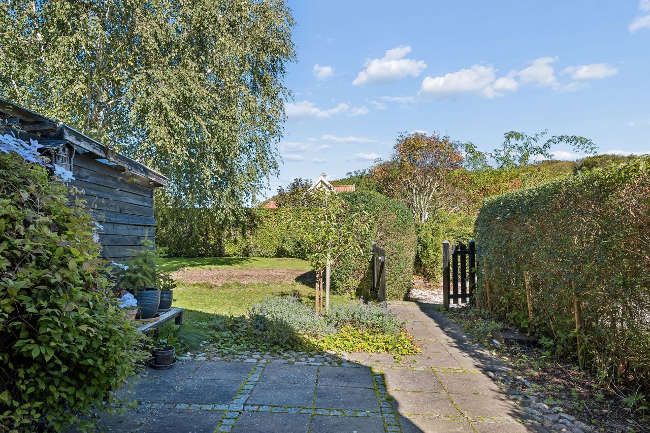 image 04